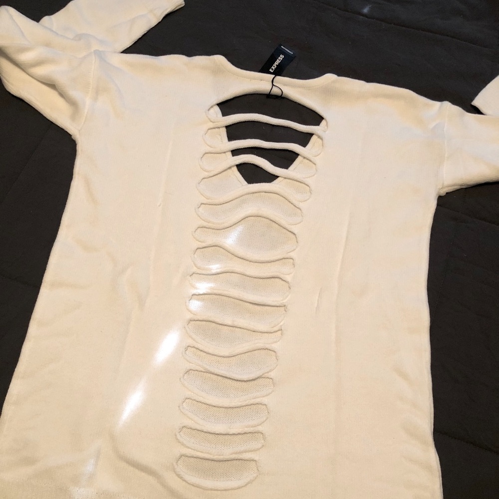 Express sweater